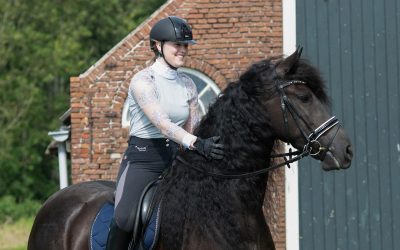Een kijkje in het dagboek van een stagiaire bij Zeedesign